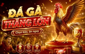 Đá Gà ringsofcarekc