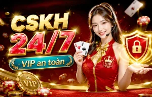 Live casino category